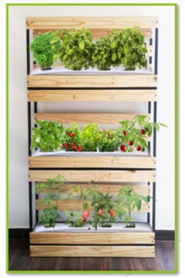 Sustainable Landscaping with Edible Vertical Gardening